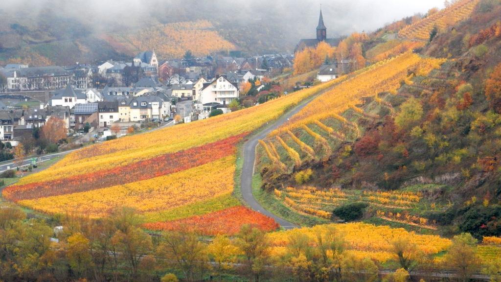 Apartment Happy Mosel Кохем Екстер'єр фото